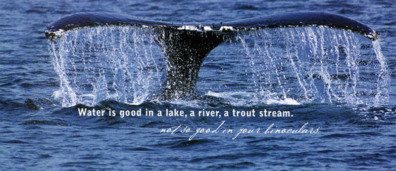 Water is  in a lake, a river, a trout stream.  good in  binoculars