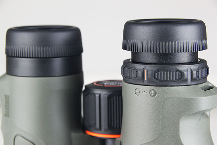 Bushnell