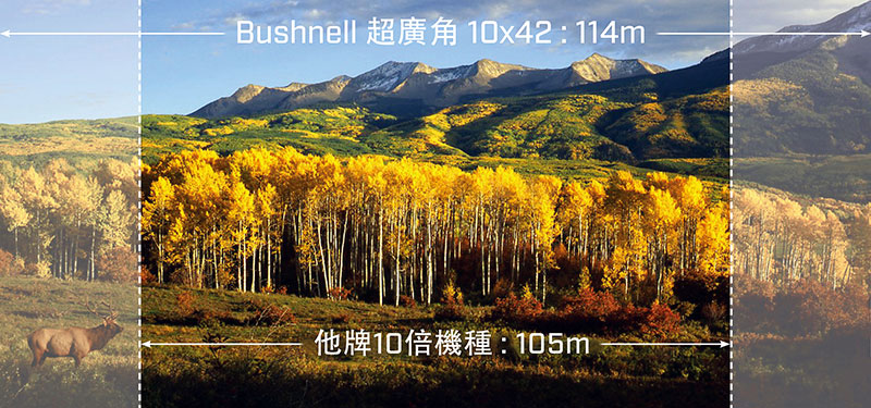 Bushnell 超廣角10x42:114m他牌10倍機種:105mm