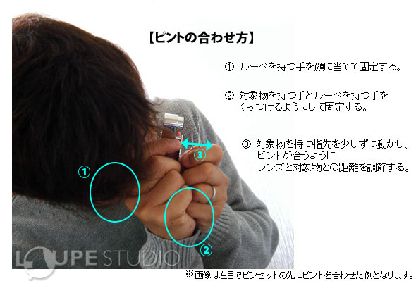 ピントの合わせ方】 を持つ手を顔に当てて固定する。対象物を持つ手とを持つ手をくっつけるようにして固定する。3) 対象物を持つ指先を少しずつ動かし、ピントが合うようにレンズと対象物との距離を調節する。 ※画像は左目でピンセットの先にピントを合わせた例となります。