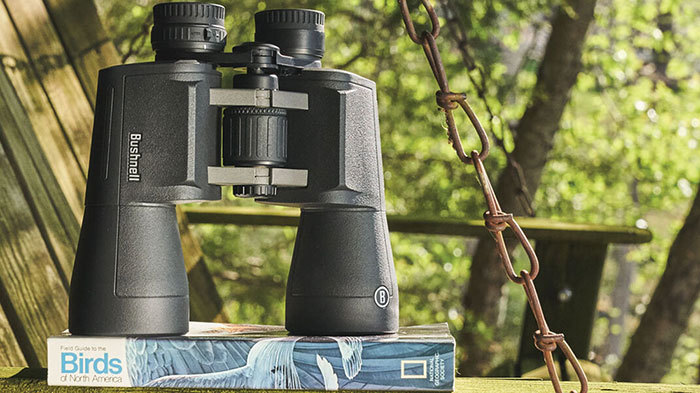 Bushnell   Birds North America