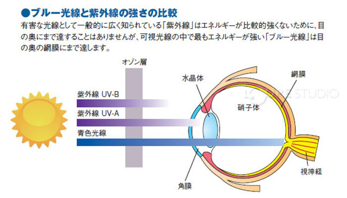 ●ブルー光線と紫外線の強さの比較有害な光線として一般的に広く知られている 紫外線はエネルギーが比較的強くないために、目の奥にまで達することはありませんが、可視光線の中で最もエネルギーが強い ブルー光線」は目の奥の網膜にまで達します。紫外線 UV-B紫外線 UV-A青色光線オゾン層水晶体角膜網膜硝子体視神